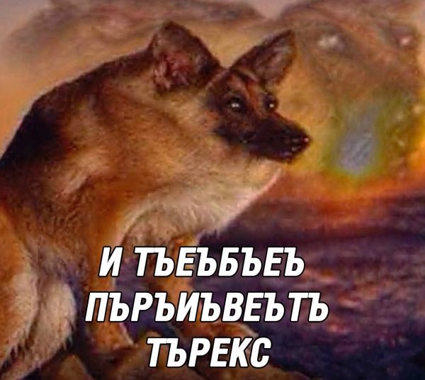 Макс иди на собака