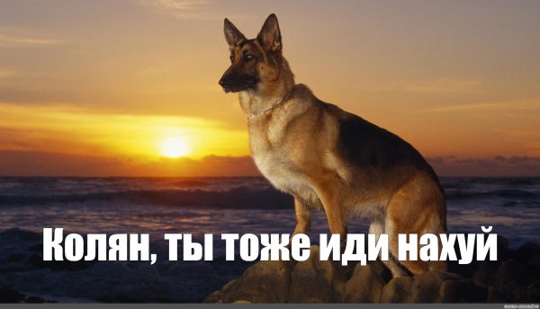 Макс иди на Мем