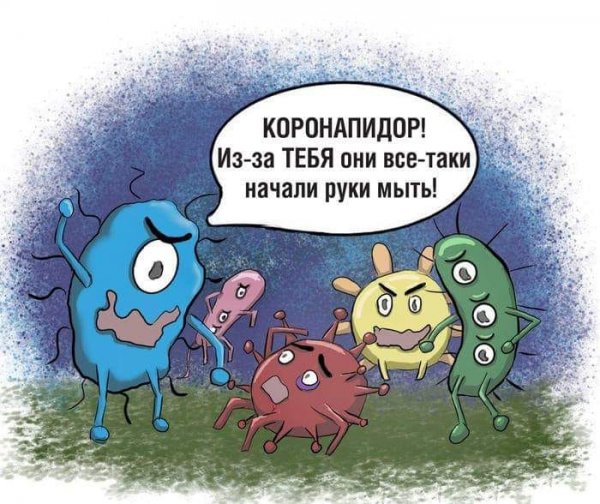 Смешные фразы до слез для поднятия