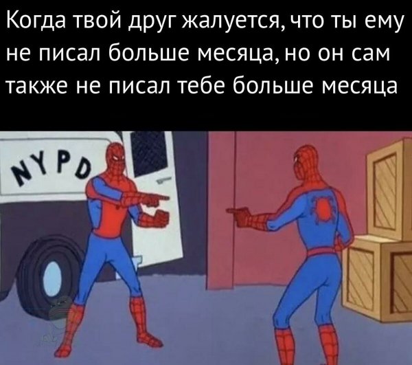 Два человека паука показывают