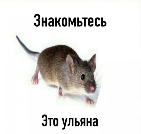 Смешные картинки про Карину