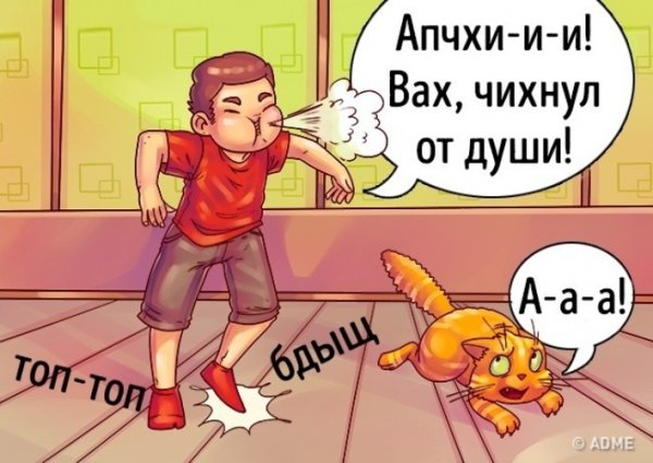 Апчхи апчхи апчхи