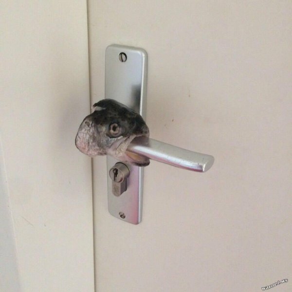 Мемы о дверной ручке