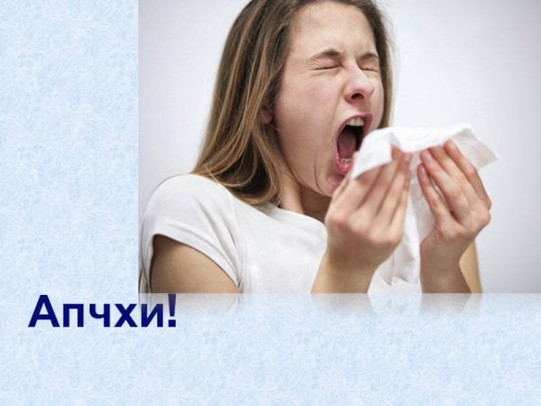 Апчхи прикол