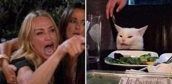 Мем с котом и женщиной