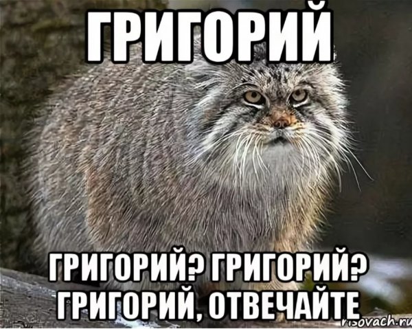 Григорий прикол