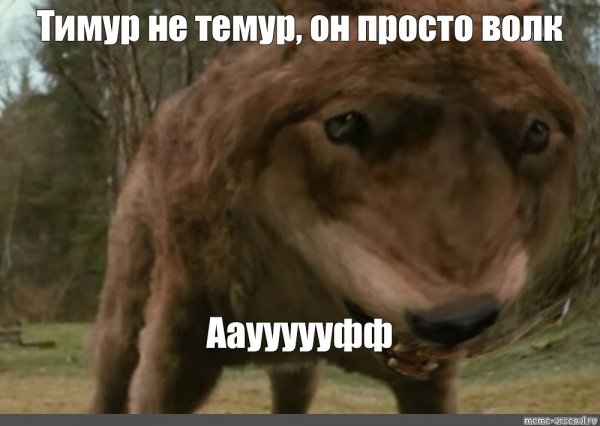 Приколы про Тимура