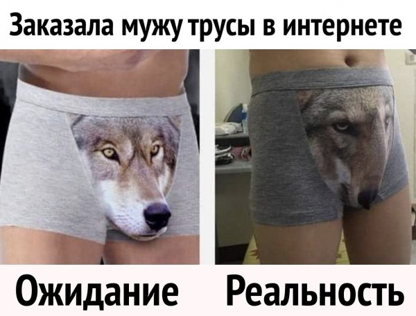 Волк на трусах ожидание реальность