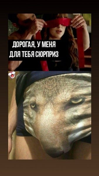 Трусы с волком прикол реальность