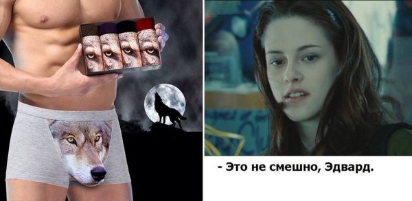 Трусы с волком