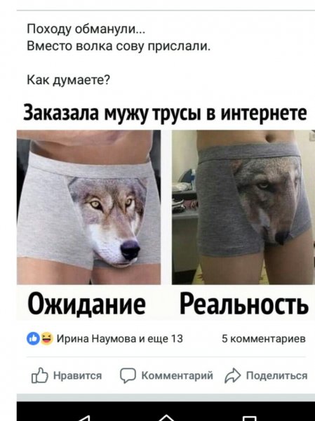 Забавные трусы с волком