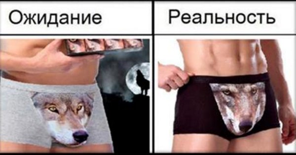 Трусы с волком мужские