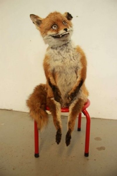 Чучело Алиса