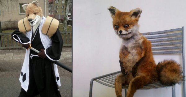 Лиса на стуле