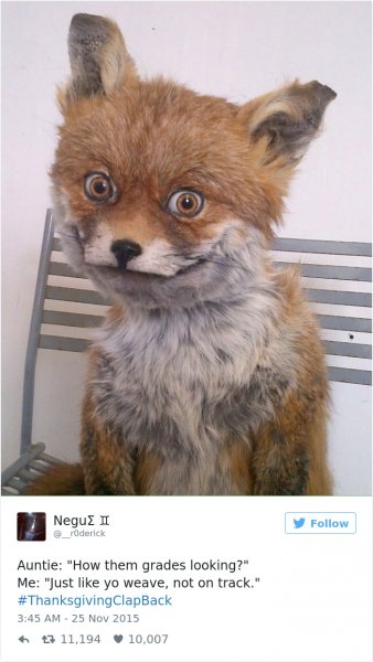 Упоротый Лис