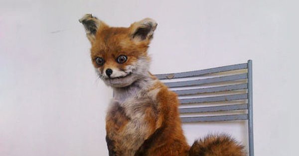 Соник и упоротый Лис