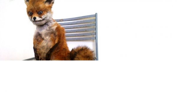 Соник и упоротый Лис