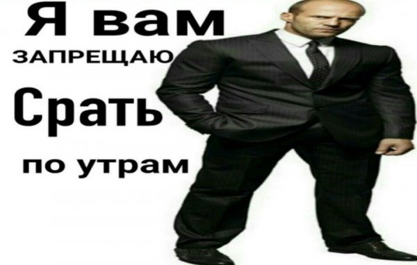 Я запрещаю вам срать по утрам