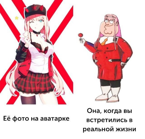 Мемы дневная порция
