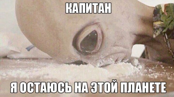 Директор РЕН ТВ прикол
