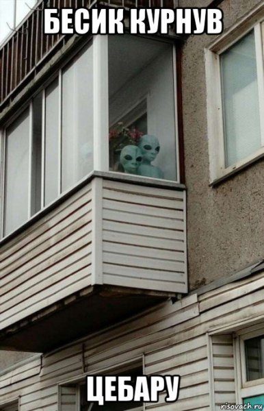 Семья директора РЕН ТВ
