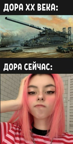 Мемы про Дору певицу