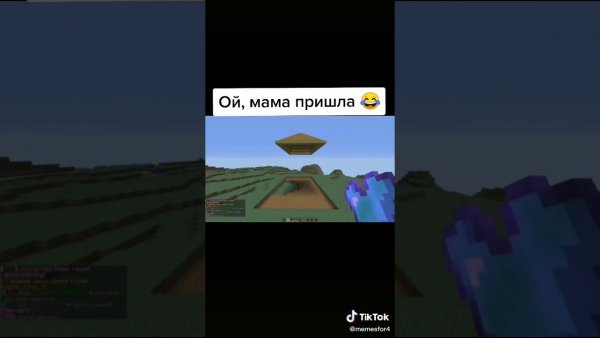 Мем Ой мама пришла