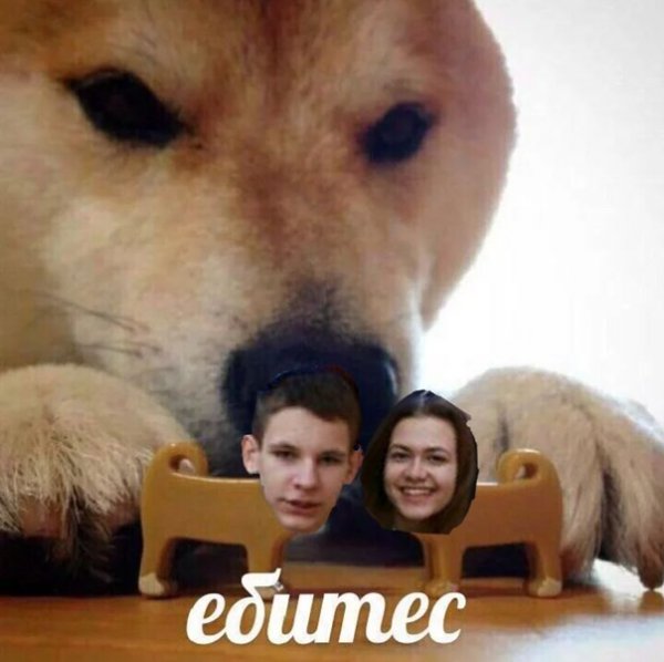 А теперь соситесь