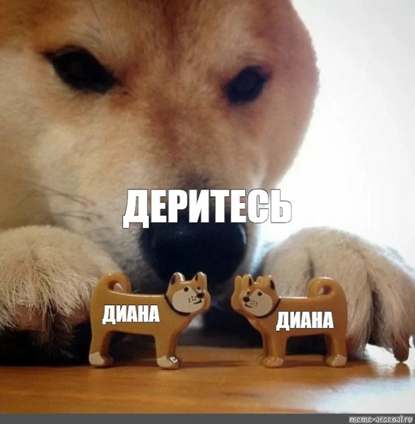 Собачка соситесь