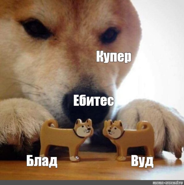 Шиба ебитес