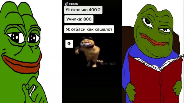 Популярные мемы в ТИКТОКЕ