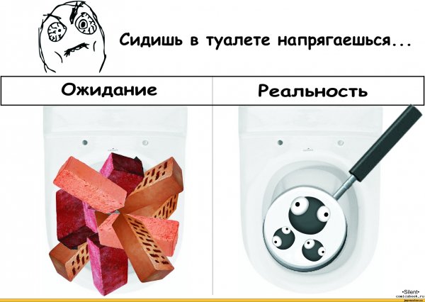 Мемы приколы про туалет