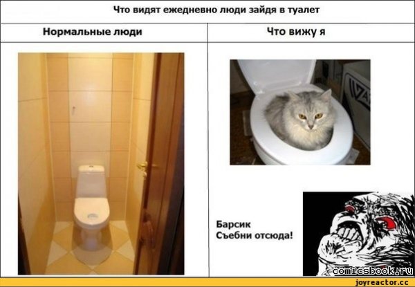 Смешные мемы про туалет