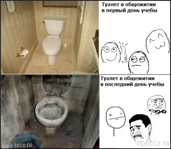 Мемы про туалет в школе