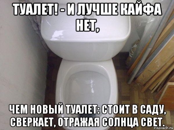 Мемы про сортир