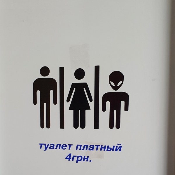 Приколы с мемами про туалет