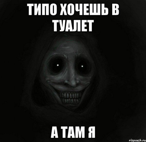 Шутки мемы про туалет