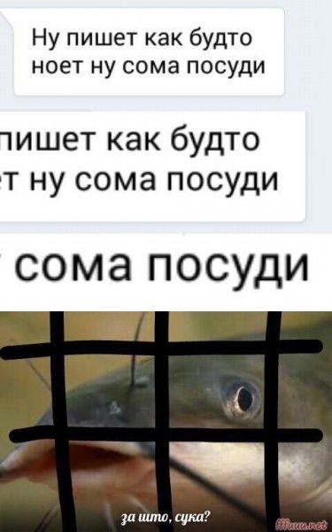 Сома посудите Мем