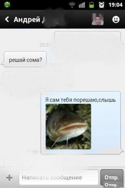 Приколы про сома