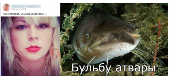 Шутки про сома