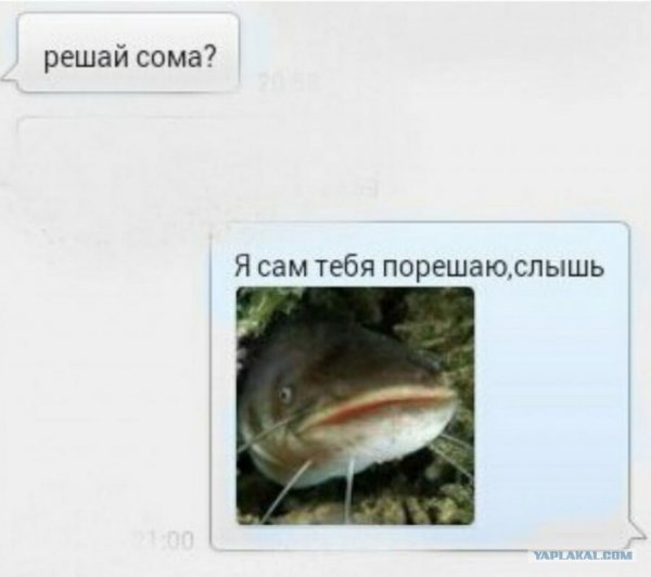 Приколы про сома