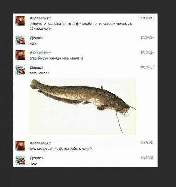 Я сома