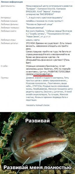 Приколы про сома