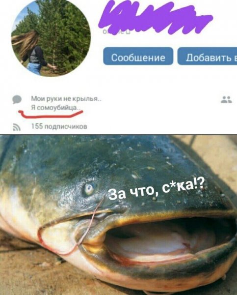 Приколы про сома