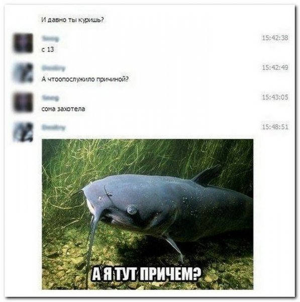 Сома Мем