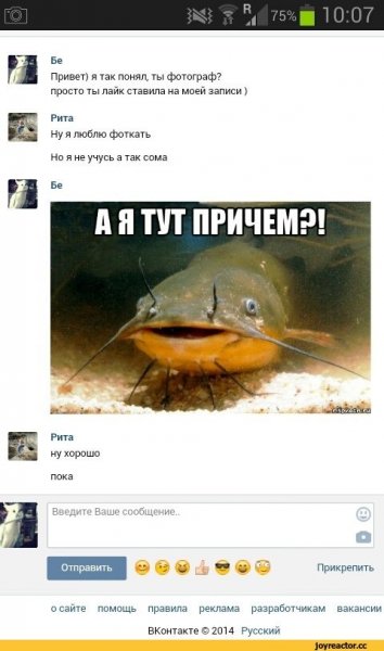 Шутки про сома