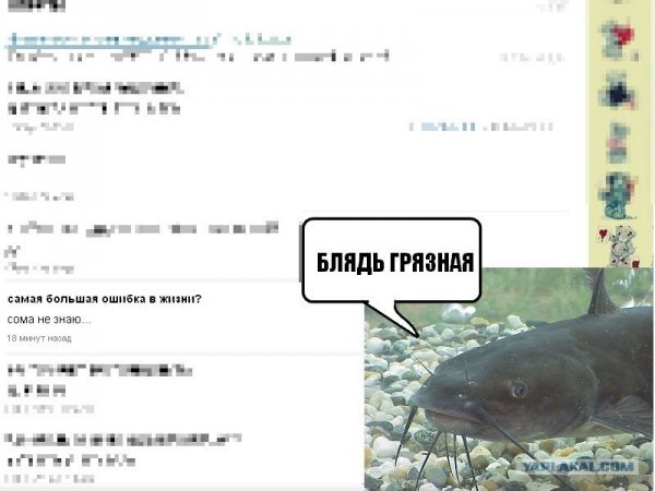 Приколы про сома