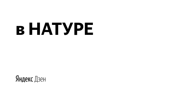 Мемы в натуре