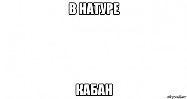 Мемы в натуре