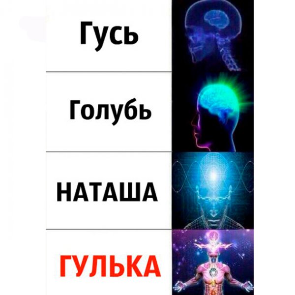 Голубь Наташа